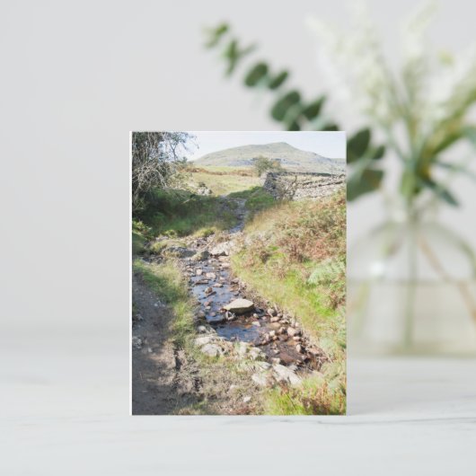 Stream Coniston Cumbrai England Card Briefkaart (Staand voorkant)