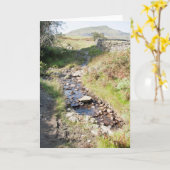 Stream Coniston Cumbrai England Kaart (Gele Bloem)
