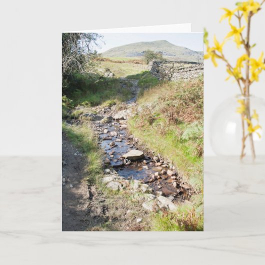 Stream Coniston Cumbrai England Kaart (Gele Bloem)