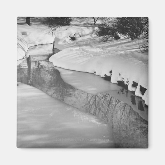 Stream in de winter B&W Magneet (Voorkant)