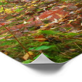 Stream in Duluth-Bossen Poster (Hoek)