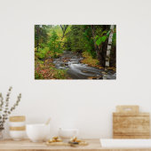 Stream in Duluth-Bossen Poster (Keuken)
