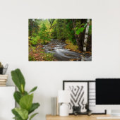 Stream in Duluth-Bossen Poster (Thuiskantoor)