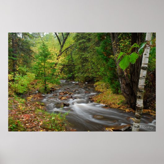 Stream in Duluth-Bossen Poster (Voorkant)