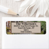 Stream in een Pacifisch noordwestbos Etiket (Insitu)