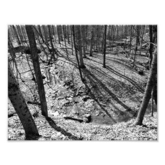 Stream in Highbanks Metropark, Columbus, Ohio Foto Afdruk