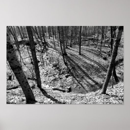 Stream in Highbanks Metropark (zwart/wit) Poster (Voorkant)