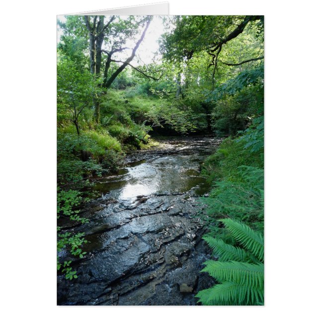 "Stream in Northumberland Bossen" (6) (Voorkant)