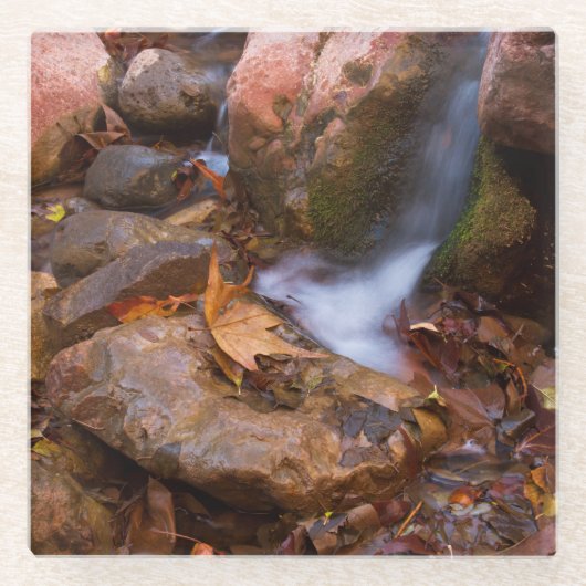 Stream in Payson, Arizona Glazen Onderzetter (Voorkant)