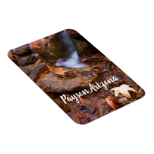 Stream in Payson, Arizona Magneet (Rechterzijde)