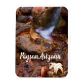 Stream in Payson, Arizona Magneet (Verticaal)