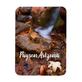 Stream in Payson, Arizona Magneet
