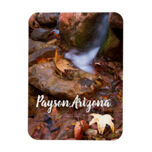Stream in Payson, Arizona Magneet