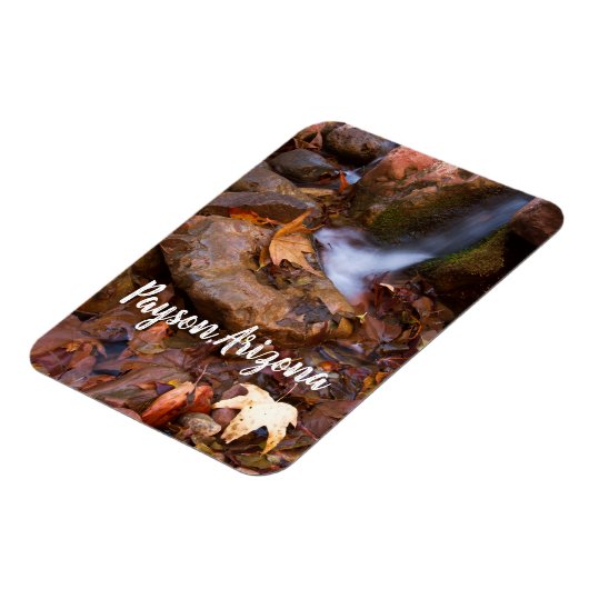 Stream in Payson, Arizona Magneet (Linkerzijde)