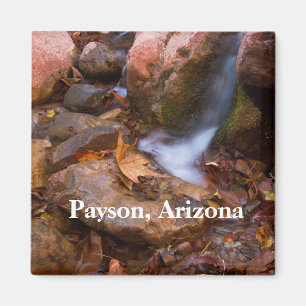 Stream in Payson, Arizona Magneet