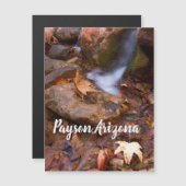 Stream in Payson, Arizona Magnet (Voorkant / Achterkant)