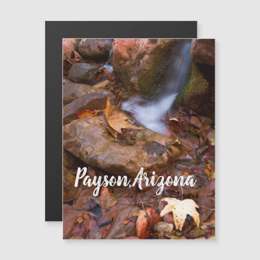 Stream in Payson, Arizona Magnet (Voorkant / Achterkant)