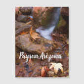 Stream in Payson, Arizona Magnet (Voorkant)