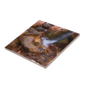 Stream in Payson, Arizona Tegeltje (Zijkant)