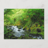 Stream in Springtime Briefkaart (Voorkant)