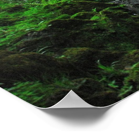 Stream in Springtime Poster (Hoek)