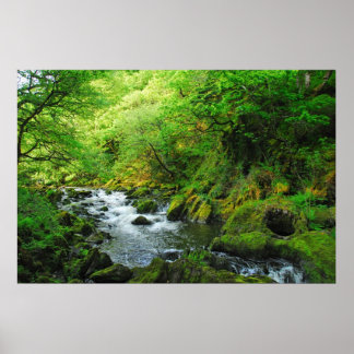 Stream in Springtime Poster
