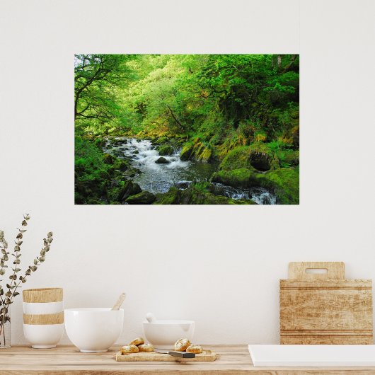 Stream in Springtime Poster (Keuken)