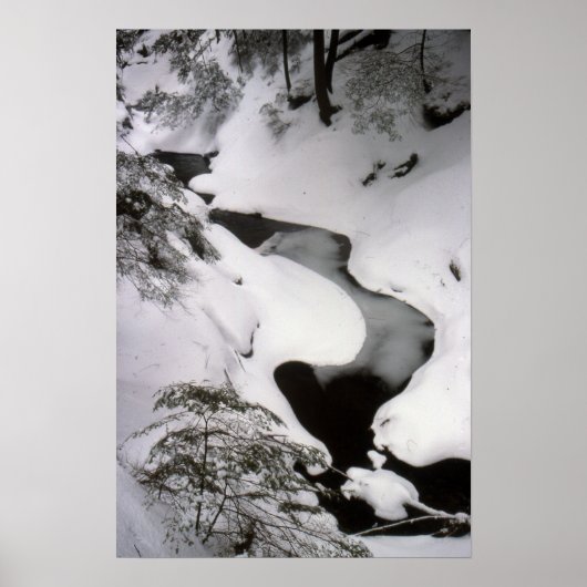 Stream in Winter Poster (Voorkant)