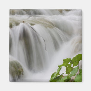 Stream Magneet
