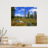 Stream near Redfish Lake, Idaho. Poster (Keuken)