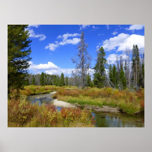 Stream near Redfish Lake, Idaho. Poster (Voorkant)