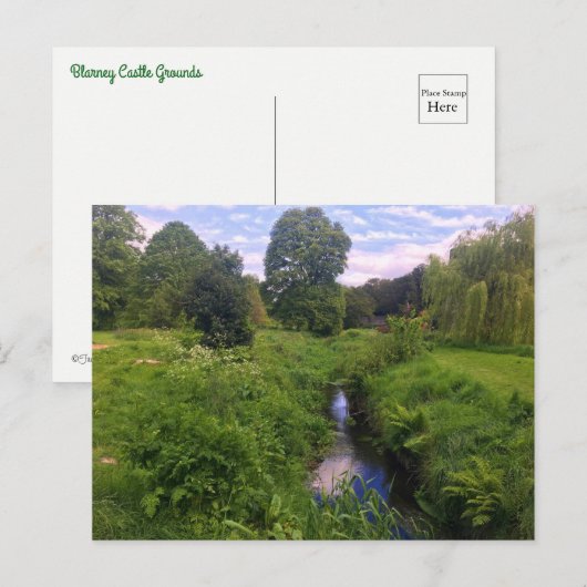 Stream through Blarney Grounds Briefkaart (Voorkant / Achterkant)