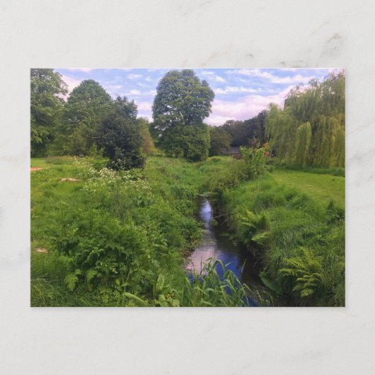 Stream through Blarney Grounds Briefkaart (Voorkant)