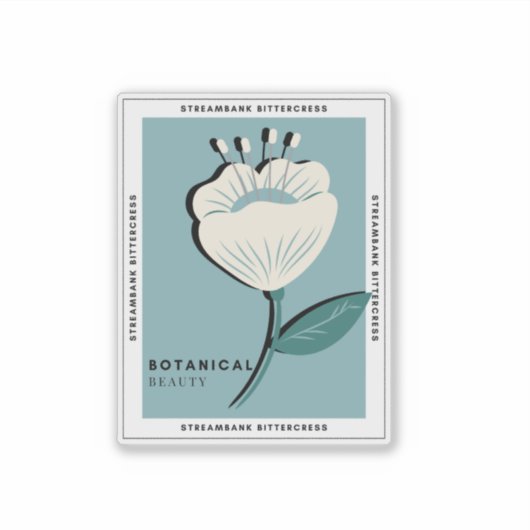 Streambank bitterheid witte bloem sticker (Voorkant)
