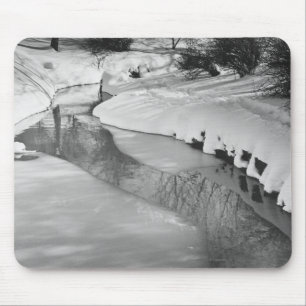 Streamen in winter B&W Muismat
