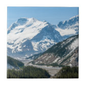 Streamen langs Icefields Parkway Highway 93 - Cana Tegeltje (Voorkant)