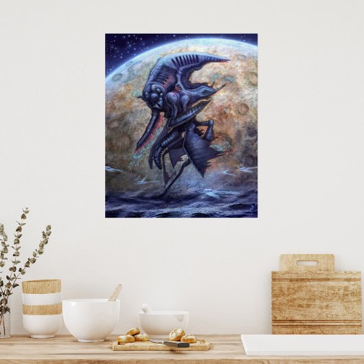 Streamline zwaartekrachtbegrenzer poster (Keuken)