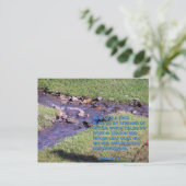 STREAMS BRIEFKAART (Staand voorkant)