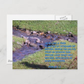 STREAMS BRIEFKAART (Voorkant / Achterkant)