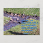 STREAMS BRIEFKAART (Voorkant)