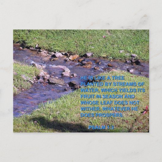 STREAMS BRIEFKAART (Voorkant)