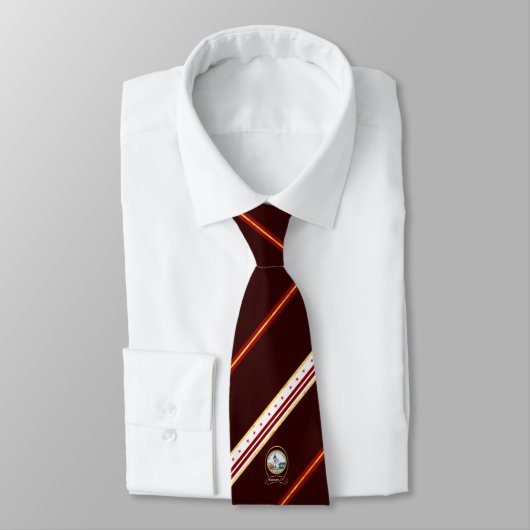 Streepvlag Washington D.C. Stropdas (Gebonden)