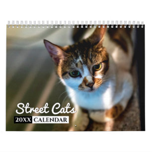 Street Cats Photo Wall Agenda Kalender