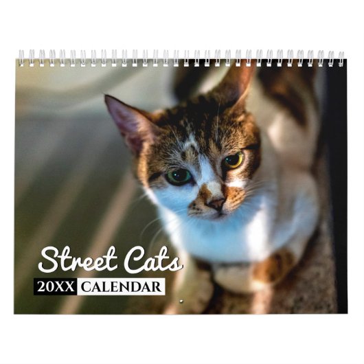 Street Cats Photo Wall Agenda Kalender (Hoes)