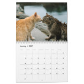 Street Cats Photo Wall Agenda Kalender (Jan 2027)