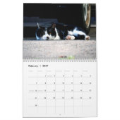 Street Cats Photo Wall Agenda Kalender (Feb 2027)