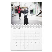 Street Dogs Kalender (Mar 2027)