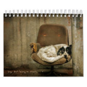 Street Dogs Kalender (Hoes)