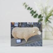 Street Sheep Briefkaart (Staand voorkant)