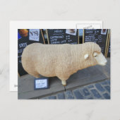 Street Sheep Briefkaart (Voorkant / Achterkant)